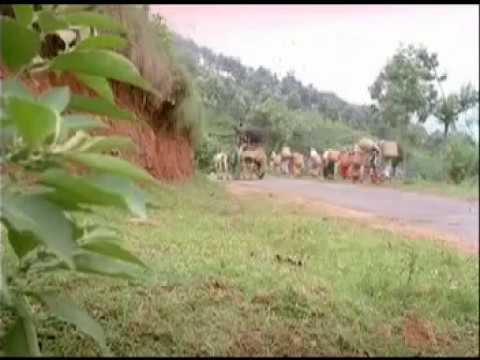 vaarango vaarango pannadi