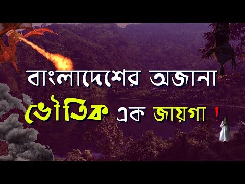 ভিডিও: একটি আস্তানা ঘর বেসরকারীকরণ করা সম্ভব?