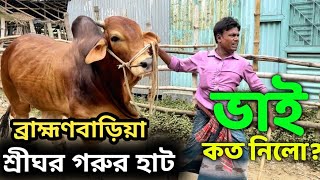 শ্রীঘর বাজার গরুর হাট থেকে বিক্রি হওয়া গরু ছাগল এবং মহিষের দাম জানুন | গরুর হাট ২০২৩ caw_market