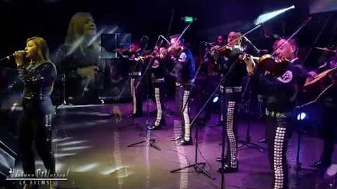 Adriana Villarreal - Concierto - Royal Center