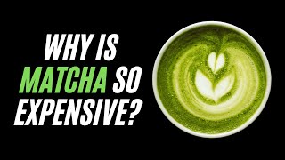 Why is matcha so expensive? Explanation by Experts - 11 Reasons Why Matcha is so Expensive