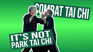 Combat Tai Chi - It's Not Park Tai Chi screenshot 2