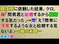 スカッとする話・修羅場　興信所に依頼した結果、クロ。嫁「間男君と結婚するから離婚する気だった」→間「え？簡単に浮気するような女と結婚する気ないよ」→嫁の末路…〖スカッと！息抜き部〗