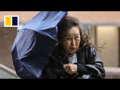 Typhoon Koinu brushes past city, leaving trail of damage