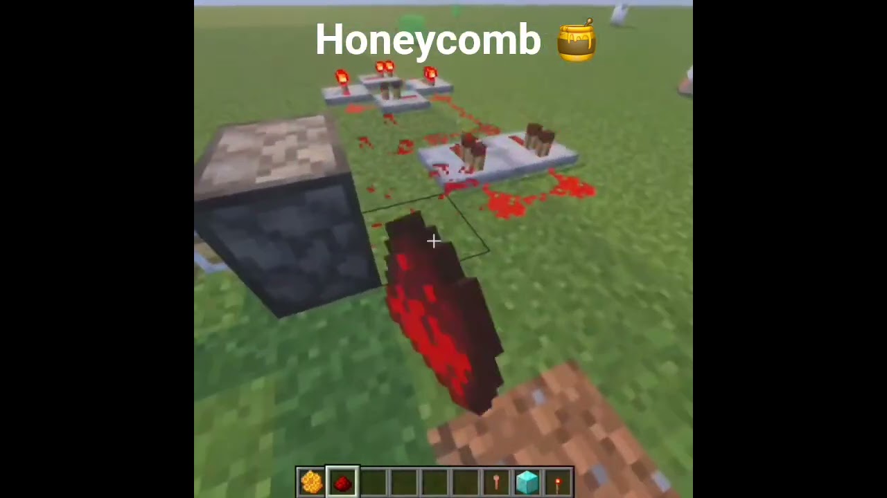 Minecraft Sheep Moment 