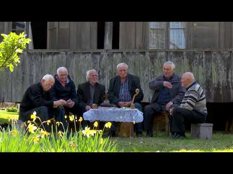 გურული მარგალიტები | დიმიტრი(დიტო) ბაქანიძე (ოზურგეთი) 2019წ.