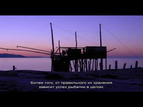 Как хранить червей