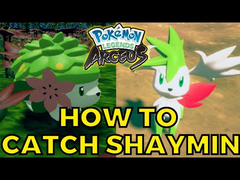 Pokémon: Legends Arceus  Como obter Shaymin Sky Forme - Canaltech