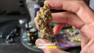 How to use King Palm electric grinder (Best $20 Portable Weed Grinder)
