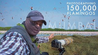 Photographing OVER 150,000 FLAMINGOS | Part Of The Flock Ep. 1  A BED OF ROSES | Bird Photography