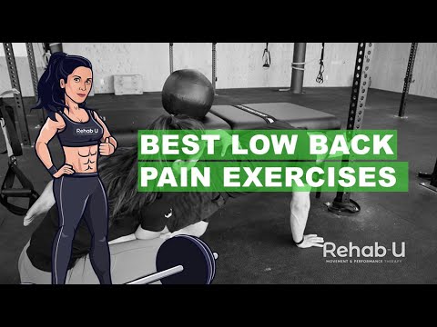 3 BEST EXERCISES FOR LOW BACK PAIN