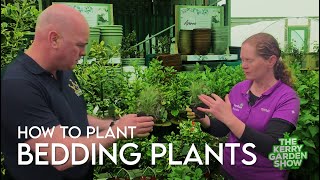 How to plant Bedding Plants | The Kerry garden Show