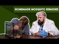 Ranking Mosquito Bite Remedies | Bless Your Rank
