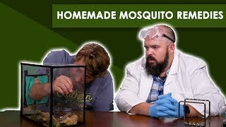 Ranking Mosquito Bite Remedies | Bless Your Rank