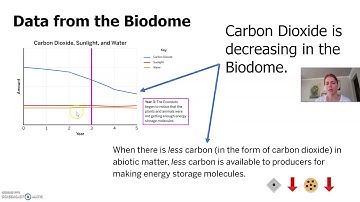 Matter and Energy in Ecosystems: Lesson 3 Part 1