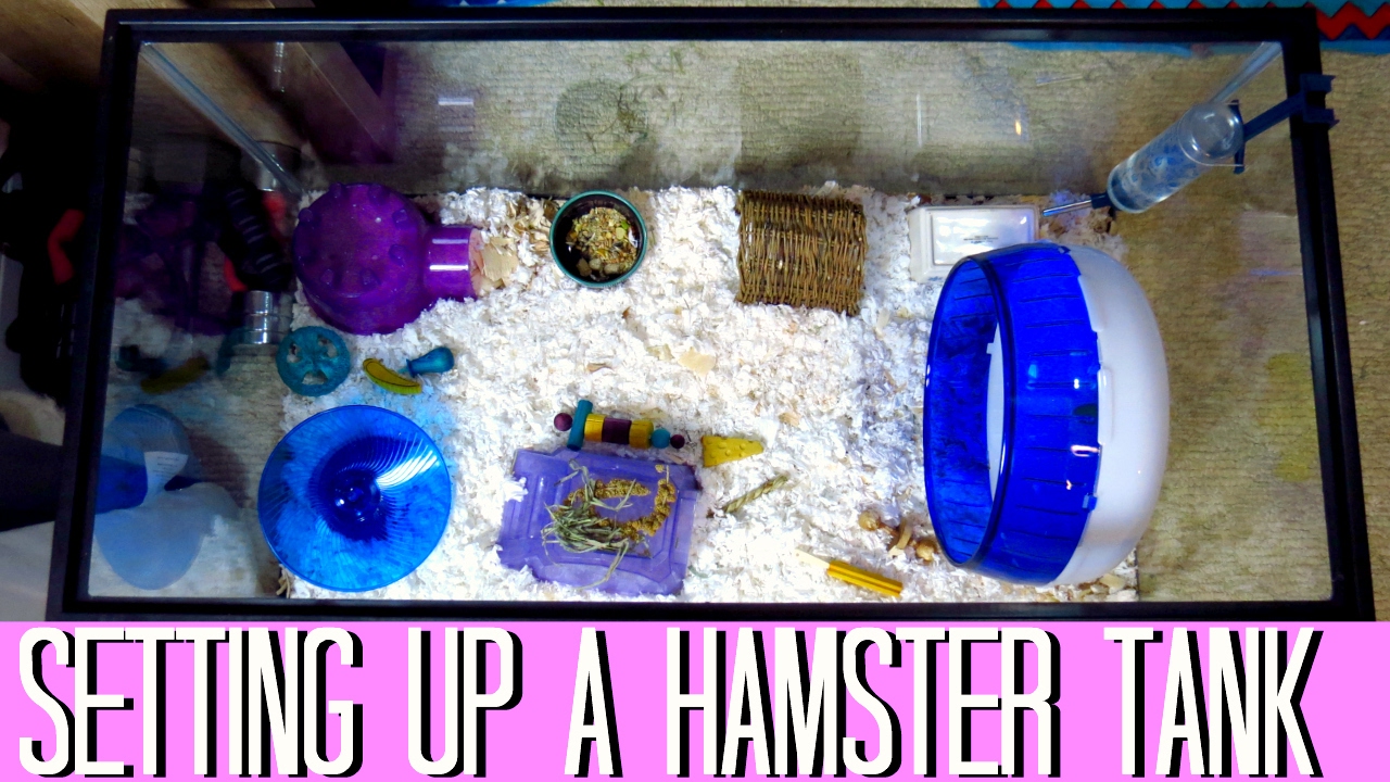 40 gallon hamster cage