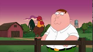 𝐍𝐨 𝐀𝐝𝐬 𝐂𝐡𝐚𝐧𝐧𝐞𝐥: Family guy - Peter waking up a Rooster ✔