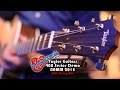 Namm 2015 taylor guitars 400 series demo with corey witt