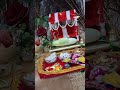 जन्माष्टमी साजरी.. #daily#minivlogs#shorts#viral#janmaastmi#festival#season#trading#vligs#marathi#