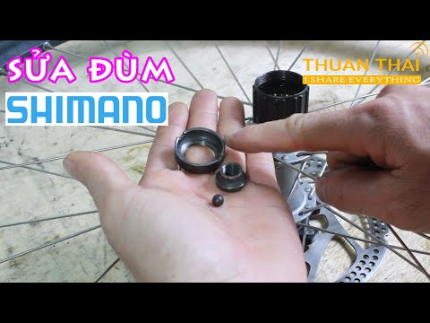 Video Thay thế chi tiết bị hư cho đùm Shimano - youtube
