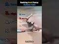 Funny Outdoor Fails 😂💔 #comedyvideos #funnyshorts #funny
