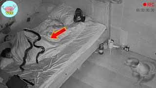 SECURITY CAMERA Captures Something No One Should Ever See 😱 | 280 Unusual Moments Caught on CCTV Wealth