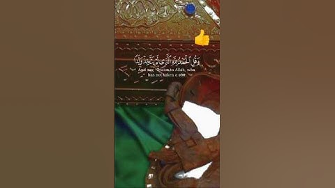 telawat e Quran | تلاوت قرآن|quran القرآن الكريم tilawat status #IslamicStatus #QuranStatus #Islamic