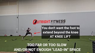 Wickets for Top Speed Training – How to Set Up Mini Hurdles for Sprint Mechanics