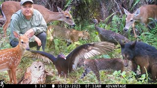 Tim Harrell - Browning Swamp Trail Camera Pickup by Tim Harrell 19,601 views 10 months ago 17 minutes