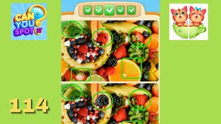 Can You Spot iT Level 114