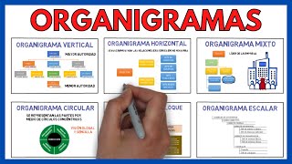 ORGANIGRAMA de una EMPRESA y sus TIPOS 🌃 | Economía de la Empresa 146#