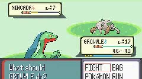 Pokemon Ruby #5: Route 116