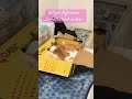 Kylie wird morgen zur Post gebracht #kätzchen #katze #funny #lustig #cute #kittens