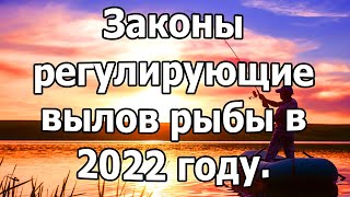 Законы регулирующие вылов рыбы в 2022 году. штрафы, ограничения.