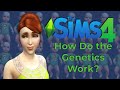 Trying To Figure Out The Genetics In The Sims 4