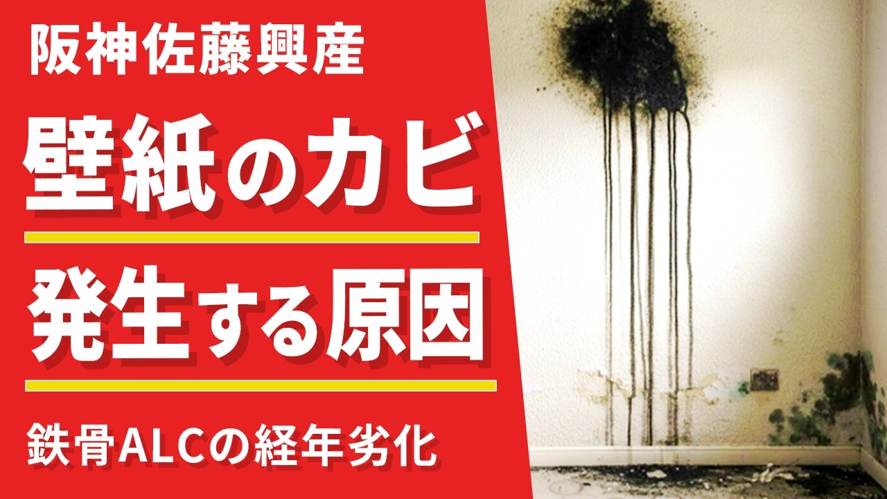 壁紙に黒カビ発生の原因と対策について解説!!(Vol.239)