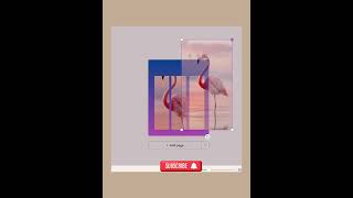 Canva Poster Design for Beginners | Trending Flamingo Design