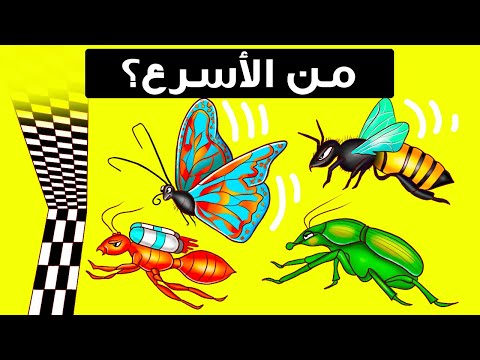 فيديو: أسرع حشرات في العالم