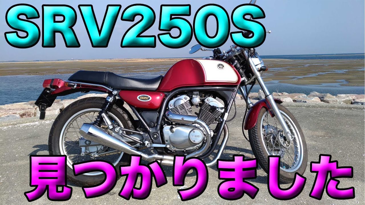 Immediate decision! I found the SRV250S I wanted! Thank you for