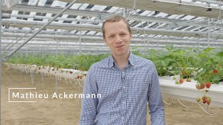 Insolight Technology & Agri-PV Solutions I Agrivoltaics I Agri Tech