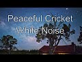 Crickets Chirping White Noise For Sleeping No Ads During Your Sleep | Sounds of Nature At Night