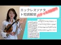 エックレスソナタ、ト短調解説