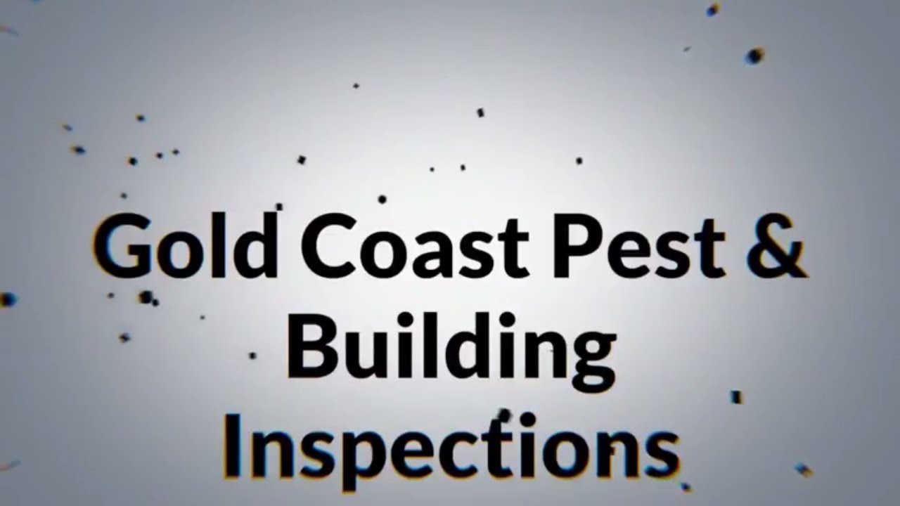 Pest and Building Inspections Gold Coast