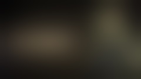 Warframe Profile | Rhino