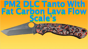 Spyderco PM2 DLC Tanto Get