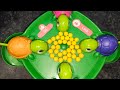 Today's target is 511111111333333333330000 million Egg eating challenge let's go everyone 👍🐢