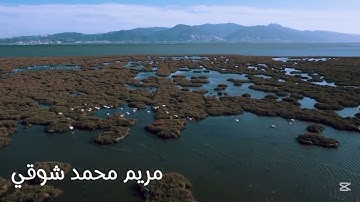 سورة نوح-الآيه 5 - بصوت  مريم محمد شوقي