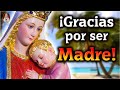 🌹Mensaje del Día de las Madres con los Caballeros de la Virgen: Reflexiones sobre el Amor de Madre💖