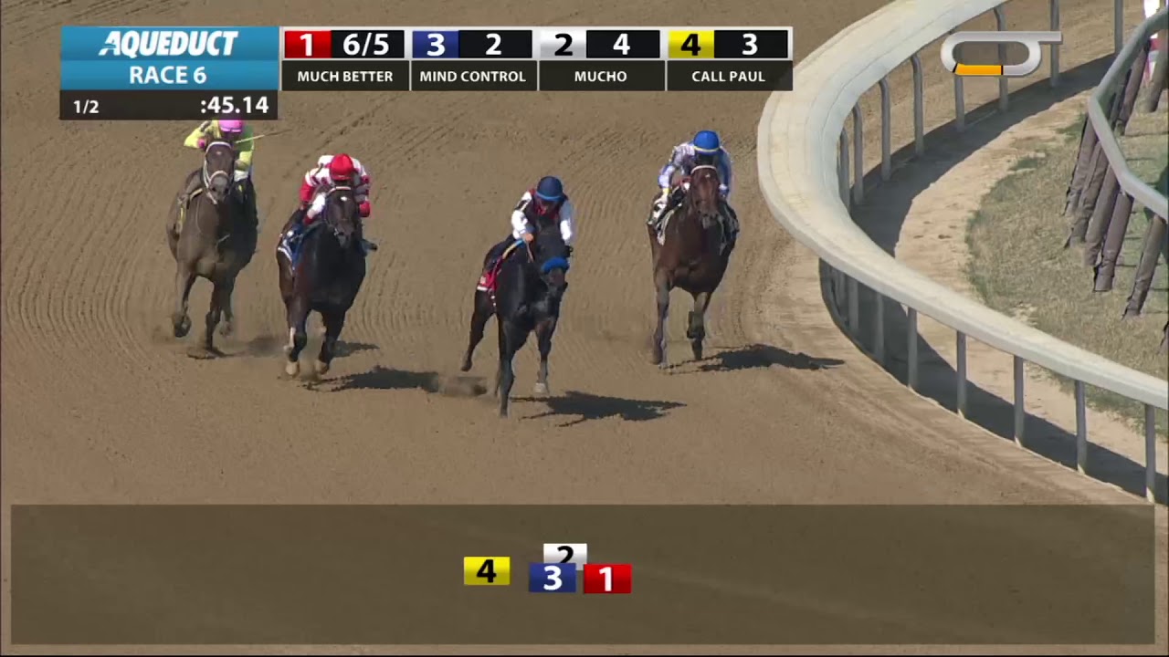 horse racing news Mind Control - 2019 - The Bay Shore Stakes