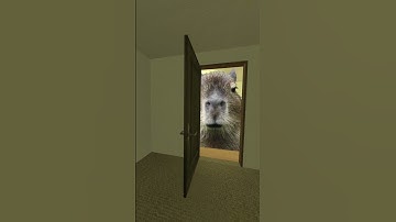 Banana Cat And Capybara Nextbot Gmod